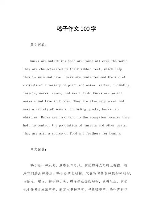 鸭子作文100字