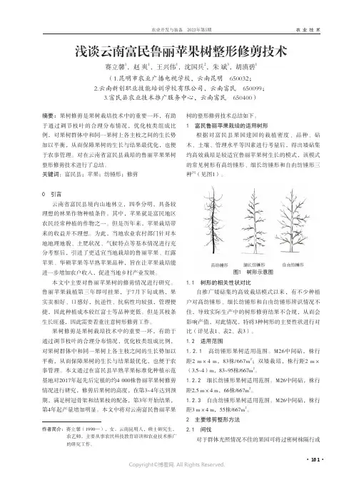 浅谈云南富民鲁丽苹果树整形修剪技术