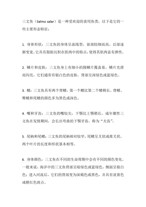 三文鱼形态特征
