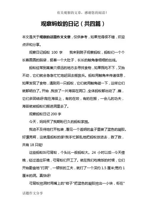 观察蚂蚁的日记(共四篇)
