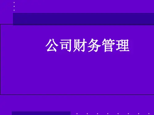 公司财务管理(PPT63页)