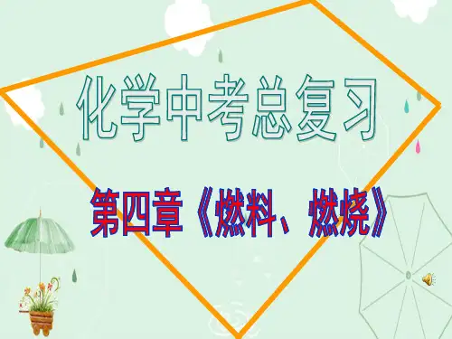燃料、燃烧PPT课件 人教版