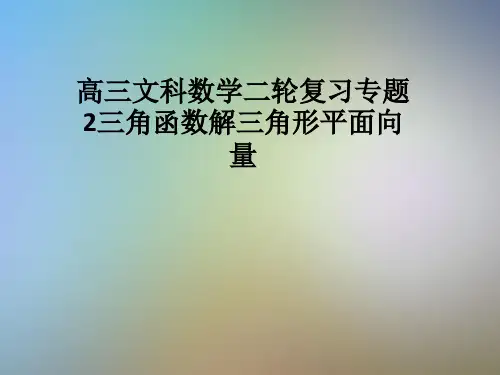 高三文科数学二轮复习专题2三角函数解三角形平面向量