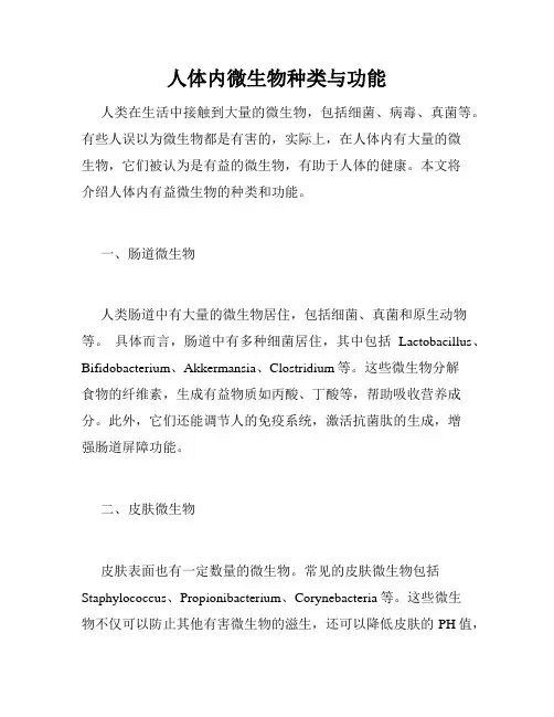 人体内微生物种类与功能