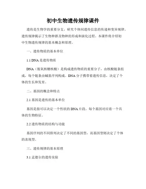 初中生物遗传规律课件