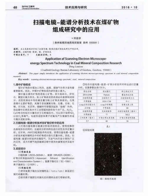 扫描电镜-能谱分析技术在煤矿物组成研究中的应用