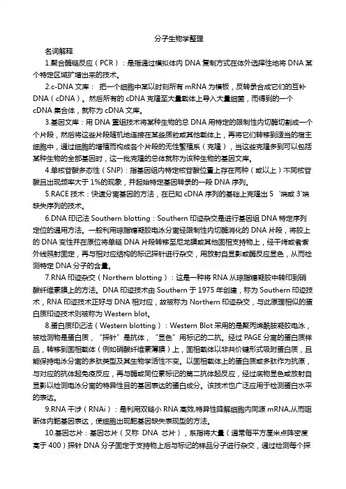 现代分子生物学整理