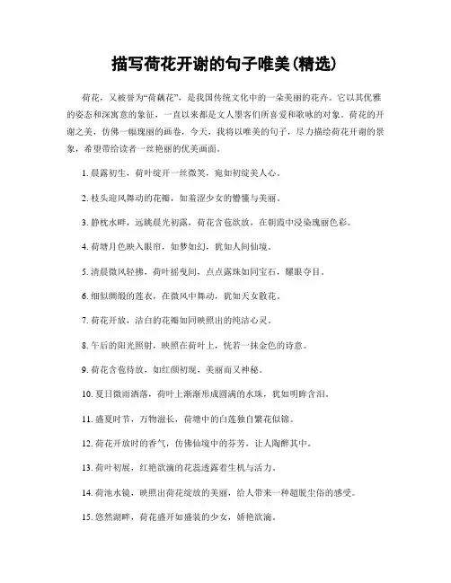 描写荷花开谢的句子唯美(精选100句)