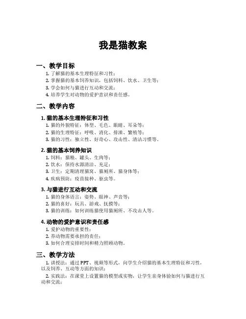 我是猫教案