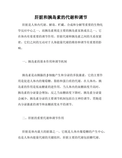 肝脏和胰岛素的代谢和调节