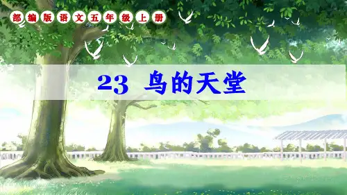 部编版语文五年级上册第23课《鸟的天堂》生字讲解课件