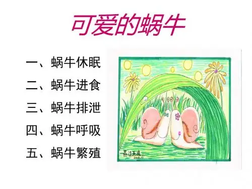 三年级上册科学课件-2_3《蜗牛二》｜教科版 