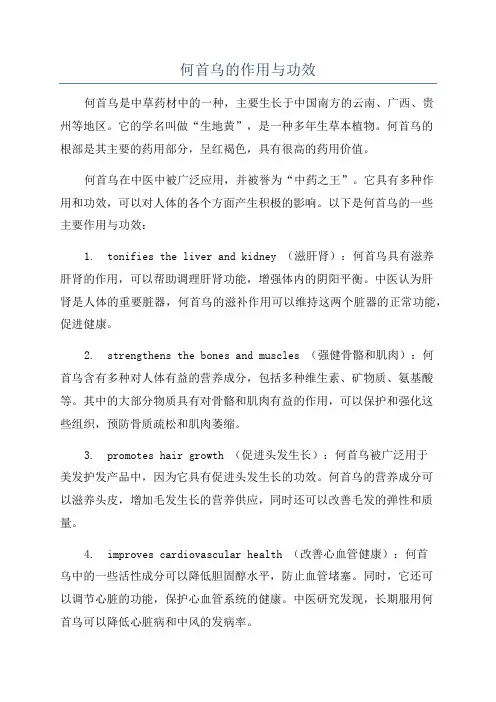 何首乌的作用与功效