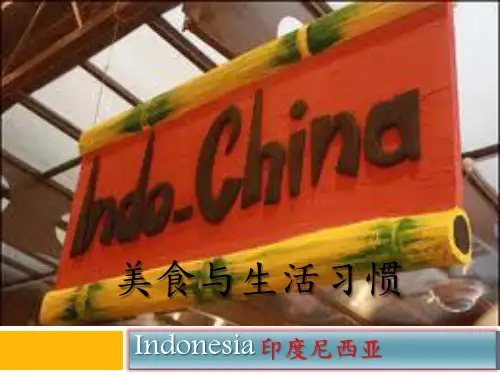 印度尼西亚美食与生活习惯 (丰富大图)