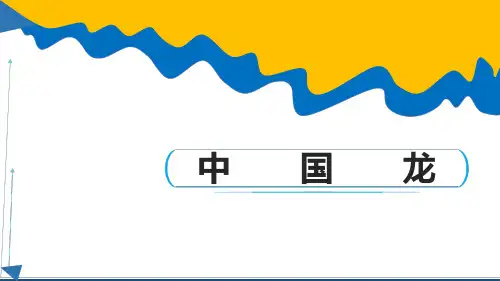 《中国龙》课件