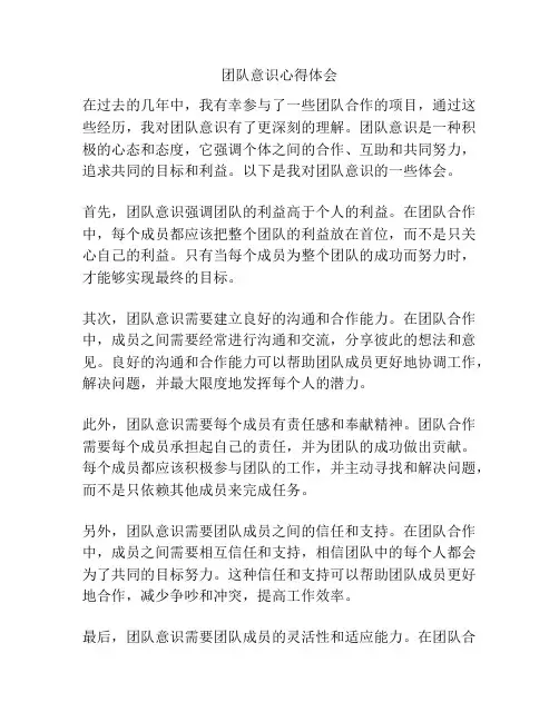 团队意识心得体会