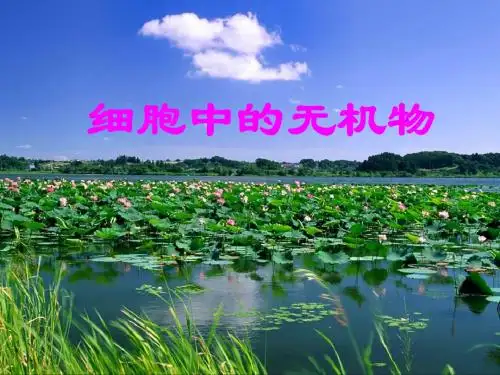 2[1].5 《细胞中的无机物》 课件1 (人教版必修1)
