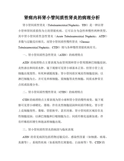 肾病内科肾小管间质性肾炎的病理分析