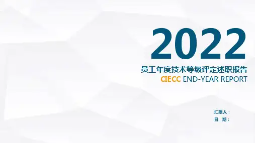 技术等级评定、职称评定、工作总结PPT