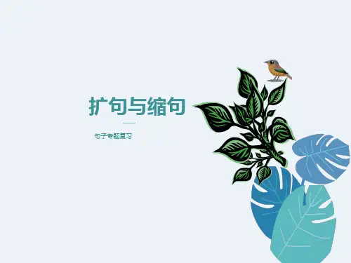 四年级上册扩句与缩句复习