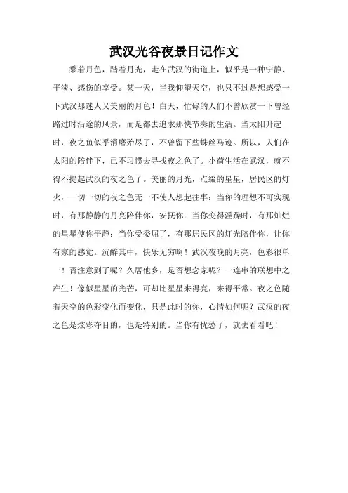 武汉光谷夜景日记作文