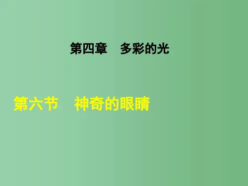八年级物理全册 4.6 神奇的眼睛课件 (新版)沪科版