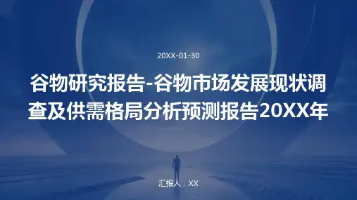 谷物研究报告-谷物市场发展现状调查及供需格局分析预测报告2024年