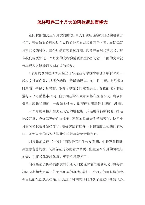 怎样喂养三个月大的阿拉斯加雪橇犬