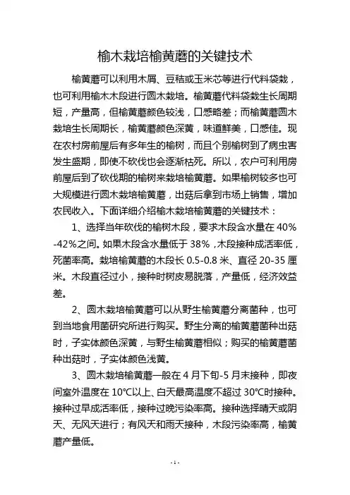 榆木栽培榆黄蘑的关键技术