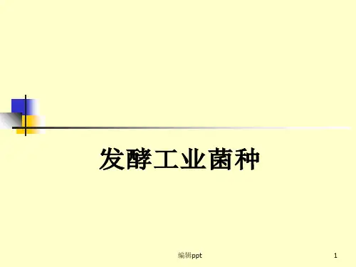《发酵工业菌种》PPT课件