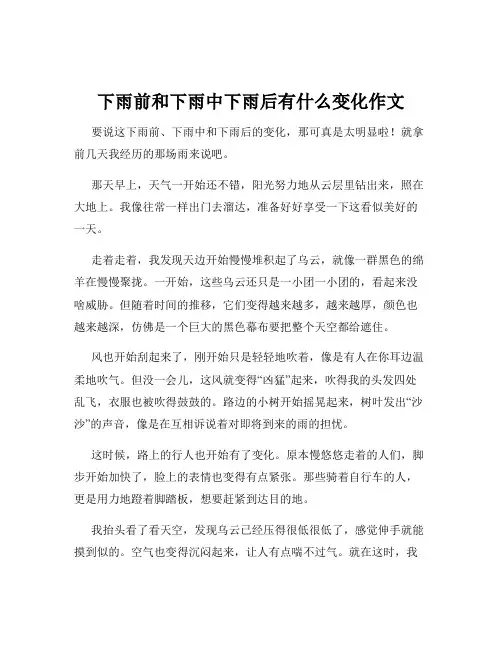 下雨前和下雨中下雨后有什么变化作文