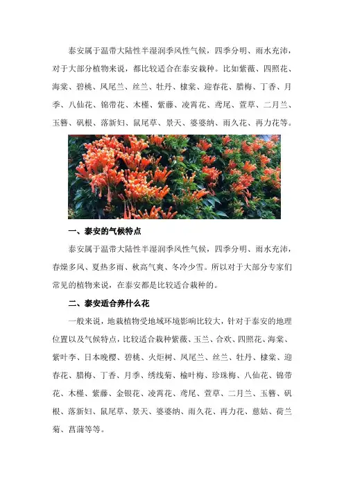 泰安适合养什么花,市花和市树是什么