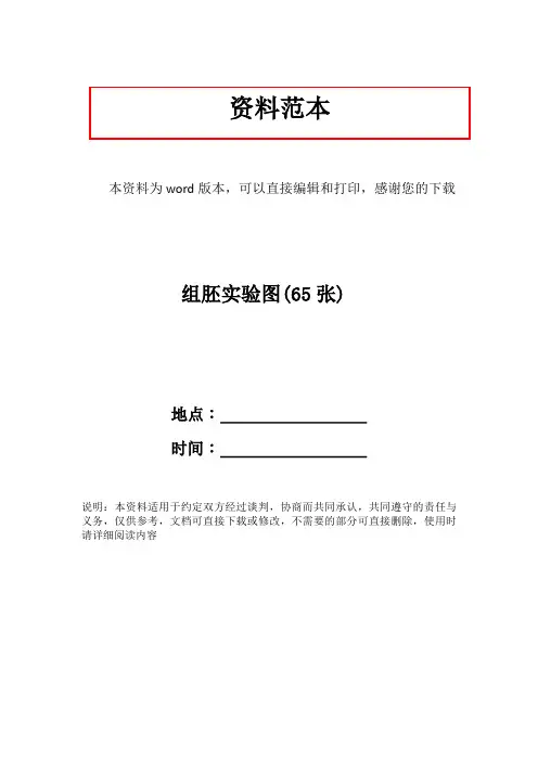组胚实验图(65张)