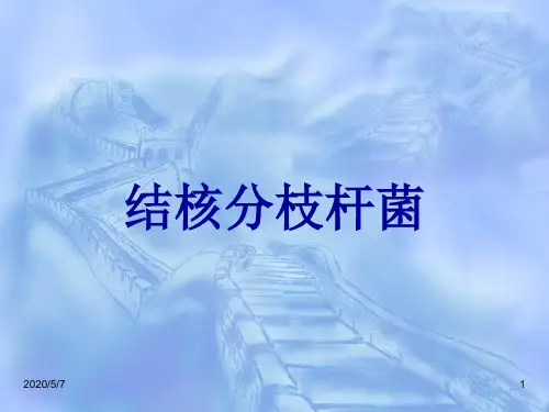 结核分枝杆菌