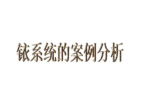 铱星系统案例分析