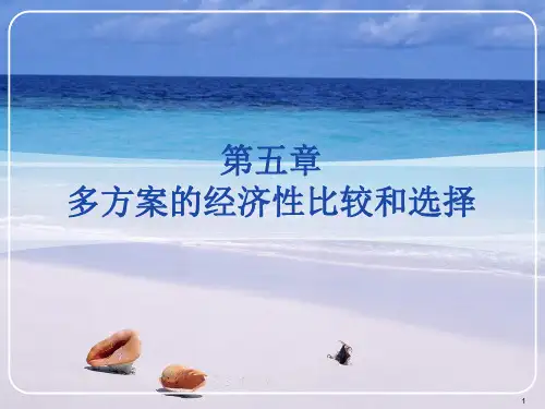 第五章多方案的经济性比较和选择PPT参考课件