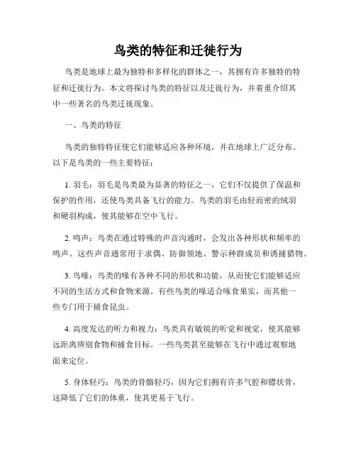 鸟类的特征和迁徙行为