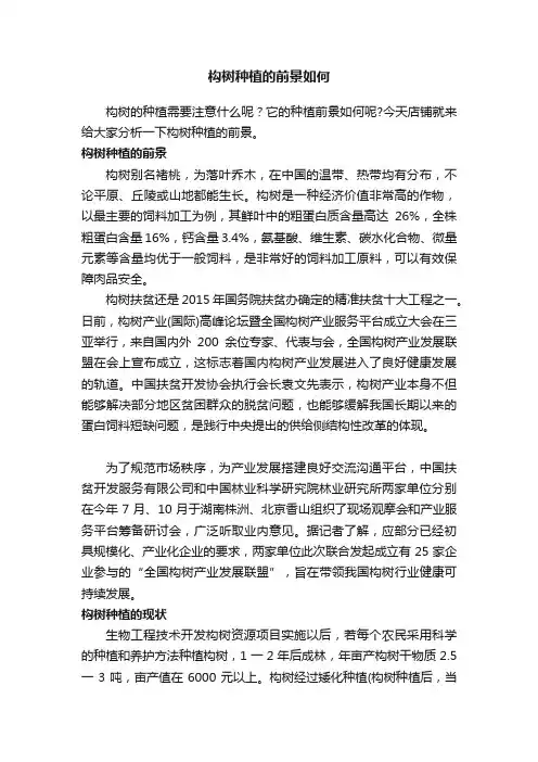 构树种植的前景如何