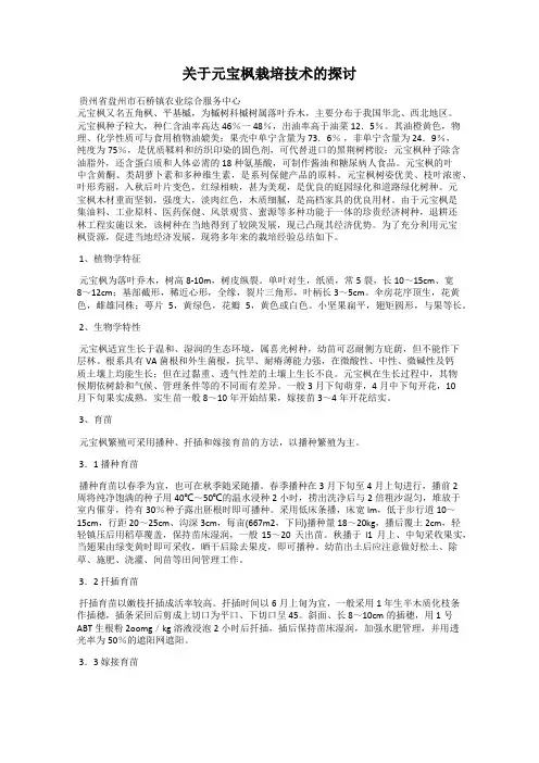 关于元宝枫栽培技术的探讨