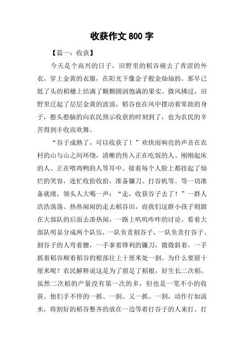 收获作文800字