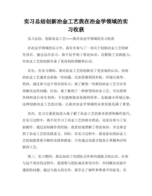 实习总结创新冶金工艺我在冶金学领域的实习收获