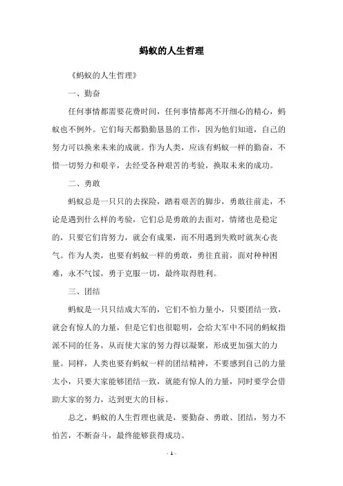 蚂蚁的人生哲理