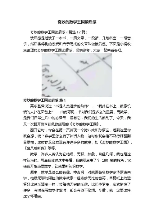 奇妙的数学王国读后感