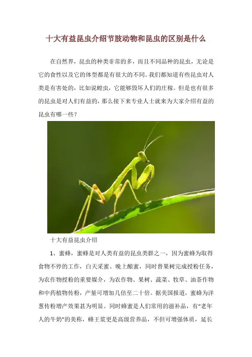 十大有益昆虫介绍 节肢动物和昆虫的区别是什么