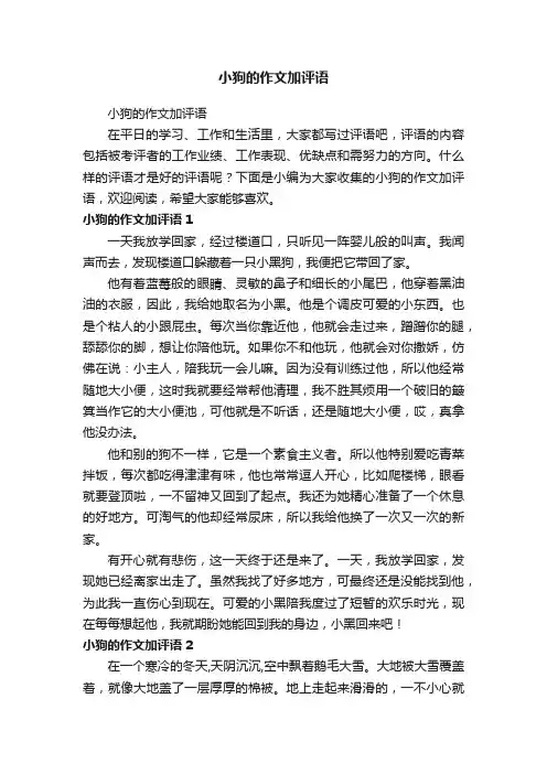小狗的作文加评语