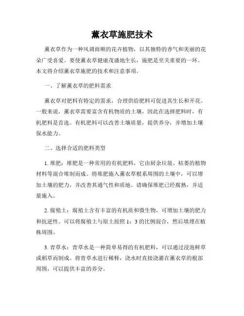 薰衣草施肥技术
