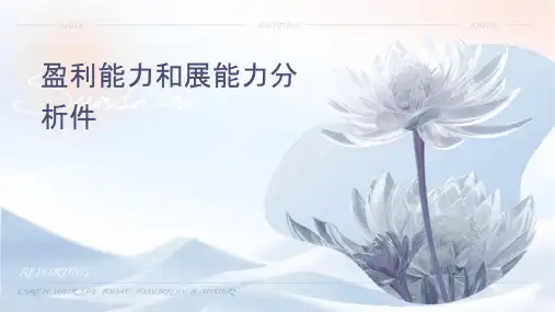 盈利能力和发展能力分析课件