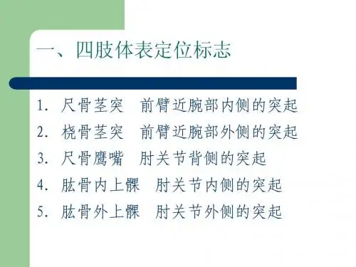 体表定位标志