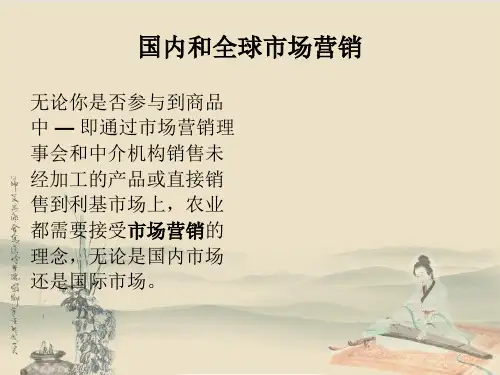 国内和全球市场营销ppt课件