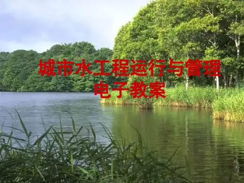 排水管渠系统的运行、维护与管理